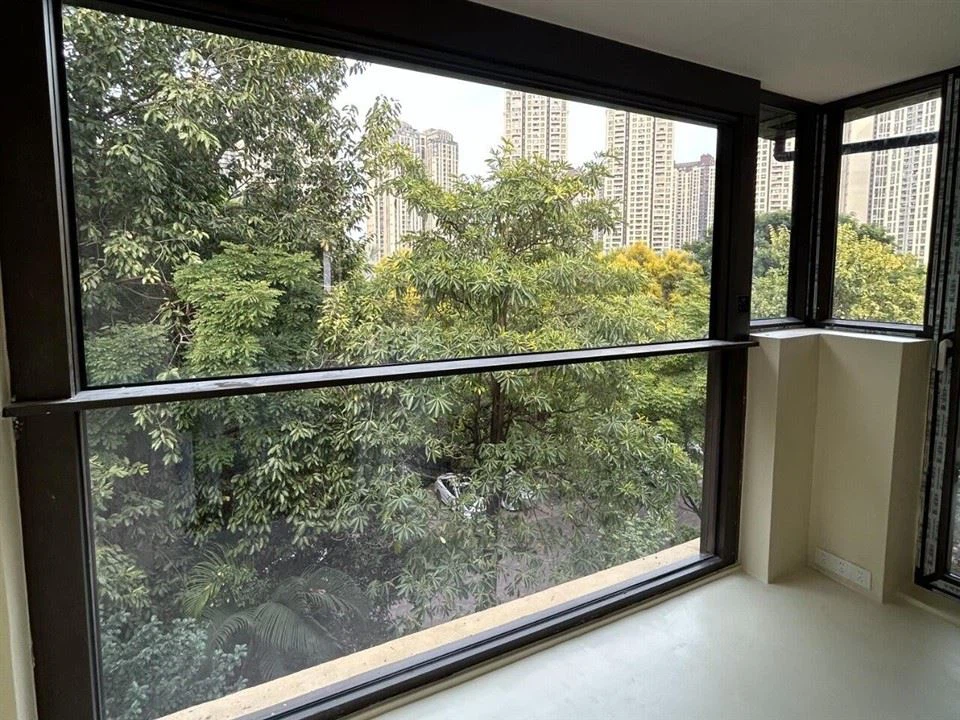 Double Lifting Window